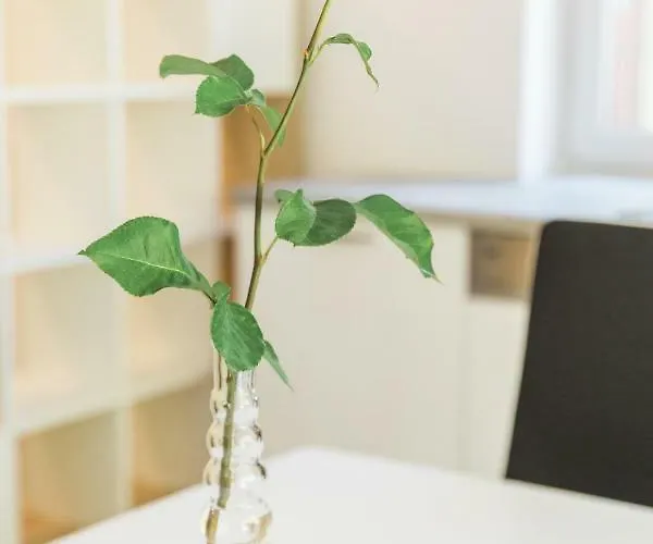 Affittacamere Rosi Tolmin